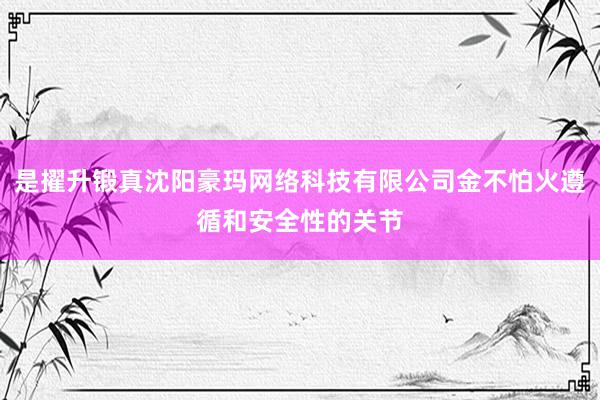 是擢升锻真沈阳豪玛网络科技有限公司金不怕火遵循和安全性的关节